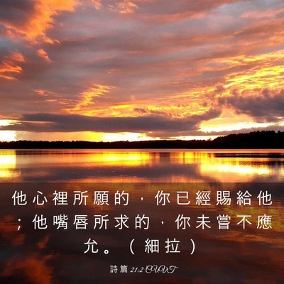 Picture 03 - 詩 篇 21:2 CUVT - 他 心 裡 所 願 的 ， 你 已 經 賜 給 - Bible Verse Picture