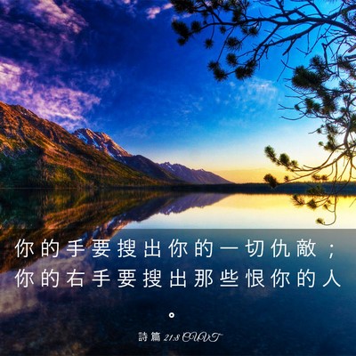 Picture 03 - 詩 篇 21:8 CUVT - 你 的 手 要 搜 出 你 的 一 切 仇 敵 - Bible Verse Picture