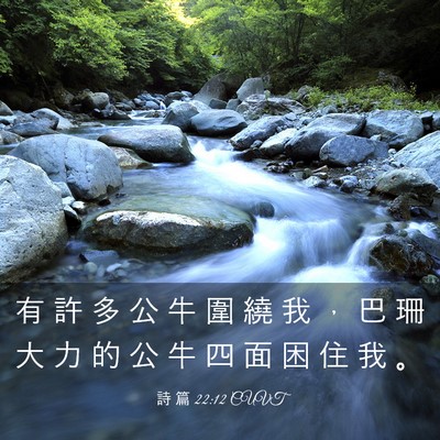 Picture 03 - 詩 篇 22:12 CUVT - 有 許 多 公 牛 圍 繞 我 ， 巴 珊 大 - Bible Verse Picture