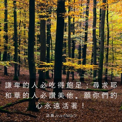 Picture 03 - 詩 篇 22:26 CUVT - 謙 卑 的 人 必 吃 得 飽 足 ； 尋 求 - Bible Verse Picture