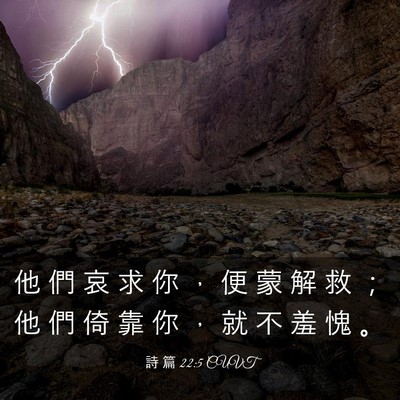 Picture 03 - 詩 篇 22:5 CUVT - 他 們 哀 求 你 ， 便 蒙 解 救 ； 他 - Bible Verse Picture