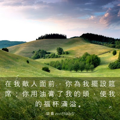 Picture 03 - 詩 篇 23:5 CUVT - 在 我 敵 人 面 前 ， 你 為 我 擺 設 - Bible Verse Picture