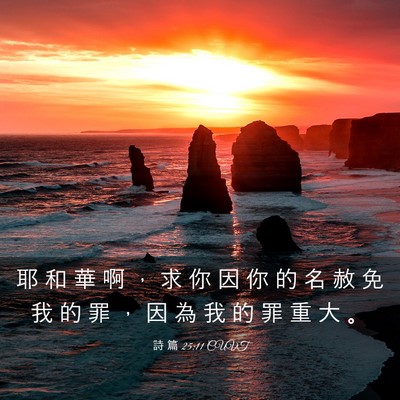 Picture 03 - 詩 篇 25:11 CUVT - 耶 和 華 啊 ， 求 你 因 你 的 名 赦 - Bible Verse Picture