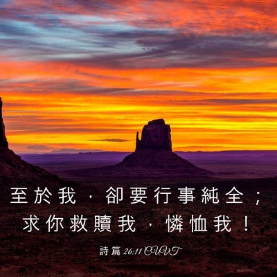 Picture 03 - 詩 篇 26:11 CUVT - 至 於 我 ， 卻 要 行 事 純 全 ； 求 - Bible Verse Picture