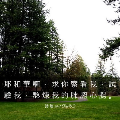 Picture 03 - 詩 篇 26:2 CUVT - 耶 和 華 啊 ， 求 你 察 看 我 ， 試 - Bible Verse Picture