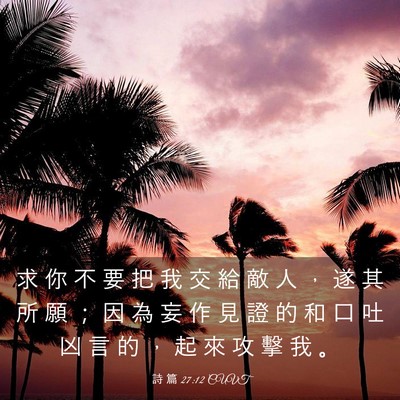 Picture 03 - 詩 篇 27:12 CUVT - 求 你 不 要 把 我 交 給 敵 人 ， 遂 - Bible Verse Picture