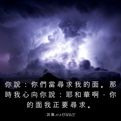 Picture 03 - 詩 篇 27:8 CUVT - 你 說 ： 你 們 當 尋 求 我 的 面 。 - Bible Verse Picture