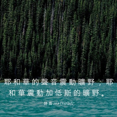 Picture 03 - 詩 篇 29:8 CUVT - 耶 和 華 的 聲 音 震 動 曠 野 ； 耶 - Bible Verse Picture