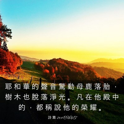 Picture 03 - 詩 篇 29:9 CUVT - 耶 和 華 的 聲 音 驚 動 母 鹿 落 胎 - Bible Verse Picture