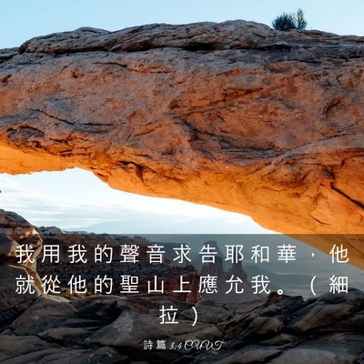 Picture 03 - 詩 篇 3:4 CUVT - 我 用 我 的 聲 音 求 告 耶 和 華 ， - Bible Verse Picture