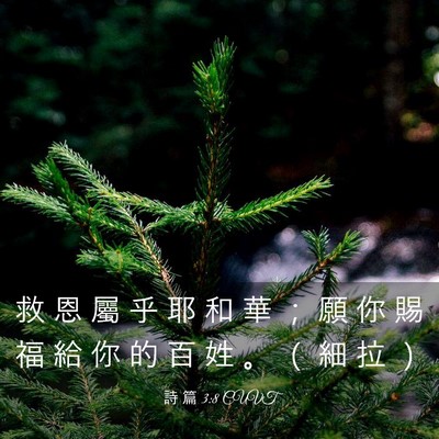 Picture 03 - 詩 篇 3:8 CUVT - 救 恩 屬 乎 耶 和 華 ； 願 你 賜 福 - Bible Verse Picture