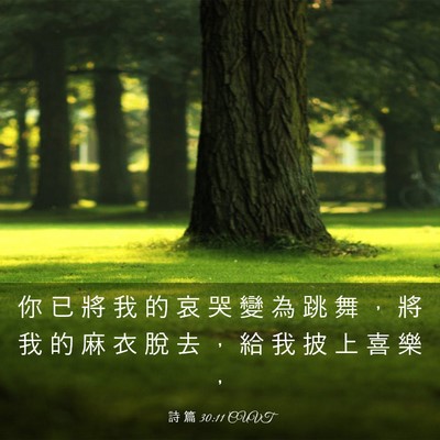 Picture 03 - 詩 篇 30:11 CUVT - 你 已 將 我 的 哀 哭 變 為 跳 舞 ， - Bible Verse Picture
