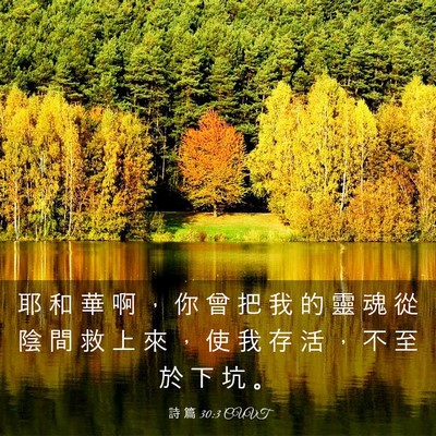 Picture 03 - 詩 篇 30:3 CUVT - 耶 和 華 啊 ， 你 曾 把 我 的 靈 魂 - Bible Verse Picture