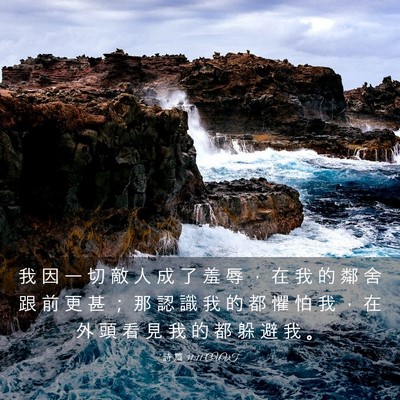 Picture 03 - 詩 篇 31:11 CUVT - 我 因 一 切 敵 人 成 了 羞 辱 ， 在 - Bible Verse Picture