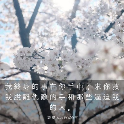 Picture 03 - 詩 篇 31:15 CUVT - 我 終 身 的 事 在 你 手 中 ； 求 你 - Bible Verse Picture