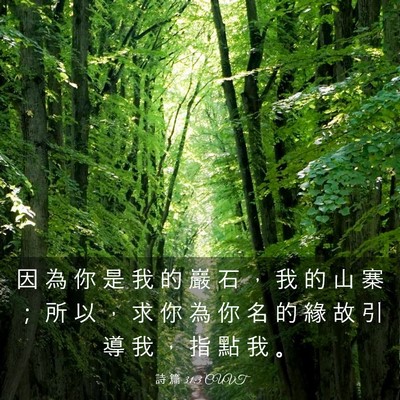 Picture 03 - 詩 篇 31:3 CUVT - 因 為 你 是 我 的 巖 石 ， 我 的 山 - Bible Verse Picture