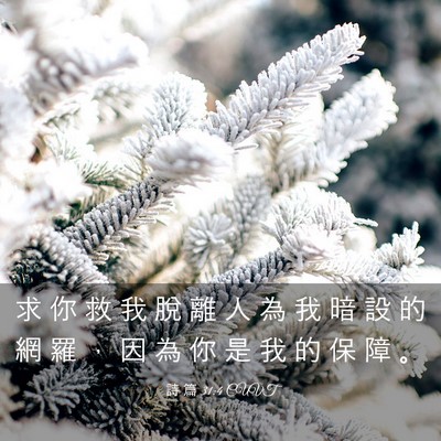 Picture 03 - 詩 篇 31:4 CUVT - 求 你 救 我 脫 離 人 為 我 暗 設 的 - Bible Verse Picture