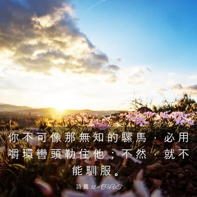Picture 03 - 詩 篇 32:9 CUVT - 你 不 可 像 那 無 知 的 騾 馬 ， 必 - Bible Verse Picture