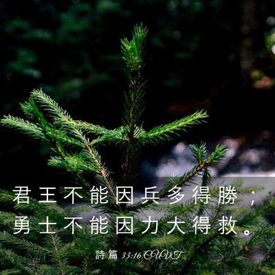 Picture 03 - 詩 篇 33:16 CUVT - 君 王 不 能 因 兵 多 得 勝 ； 勇 士 - Bible Verse Picture