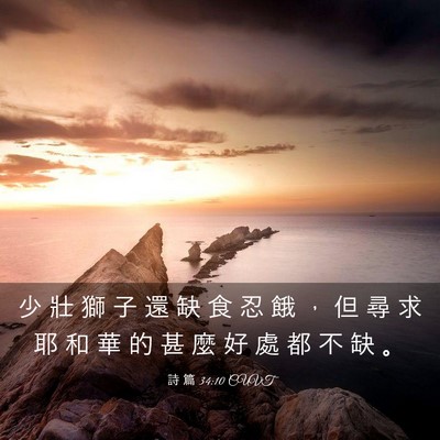 Picture 03 - 詩 篇 34:10 CUVT - 少 壯 獅 子 還 缺 食 忍 餓 ， 但 尋 - Bible Verse Picture