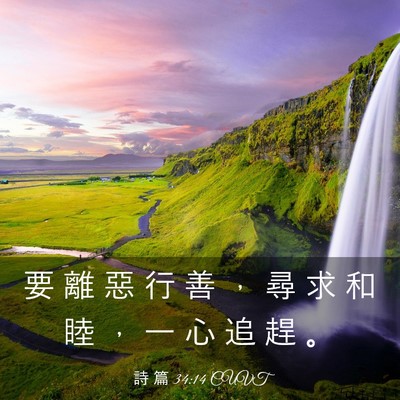 Picture 03 - 詩 篇 34:14 CUVT - 要 離 惡 行 善 ， 尋 求 和 睦 ， 一 - Bible Verse Picture
