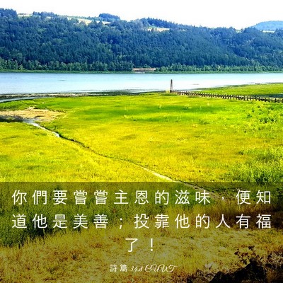 Picture 03 - 詩 篇 34:8 CUVT - 你 們 要 嘗 嘗 主 恩 的 滋 味 ， 便 - Bible Verse Picture