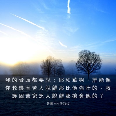 Picture 03 - 詩 篇 35:10 CUVT - 我 的 骨 頭 都 要 說 ： 耶 和 華 啊 - Bible Verse Picture