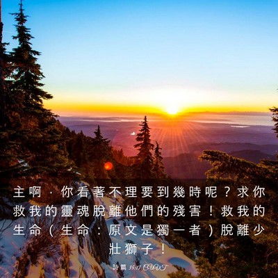 Picture 03 - 詩 篇 35:17 CUVT - 主 啊 ， 你 看 著 不 理 要 到 幾 時 - Bible Verse Picture