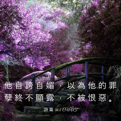 Picture 03 - 詩 篇 36:2 CUVT - 他 自 誇 自 媚 ， 以 為 他 的 罪 孽 - Bible Verse Picture