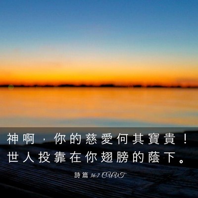 Picture 03 - 詩 篇 36:7 CUVT - 神 啊 ， 你 的 慈 愛 何 其 寶 貴 ！ - Bible Verse Picture