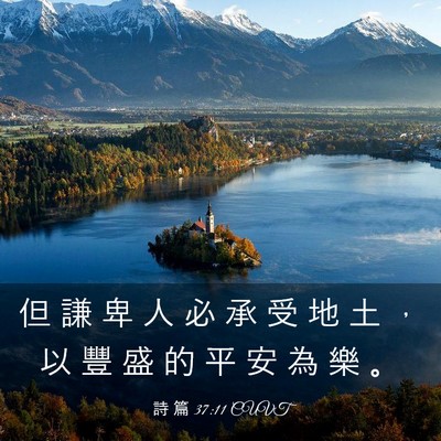 Picture 03 - 詩 篇 37:11 CUVT - 但 謙 卑 人 必 承 受 地 土 ， 以 豐 - Bible Verse Picture