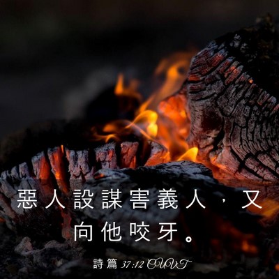 Picture 03 - 詩 篇 37:12 CUVT - 惡 人 設 謀 害 義 人 ， 又 向 他 咬 - Bible Verse Picture