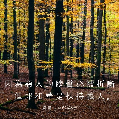 Picture 03 - 詩 篇 37:17 CUVT - 因 為 惡 人 的 膀 臂 必 被 折 斷 ； - Bible Verse Picture