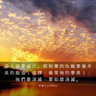 Picture 03 - 詩 篇 37:20 CUVT - 惡 人 卻 要 滅 亡 。 耶 和 華 的 仇 - Bible Verse Picture
