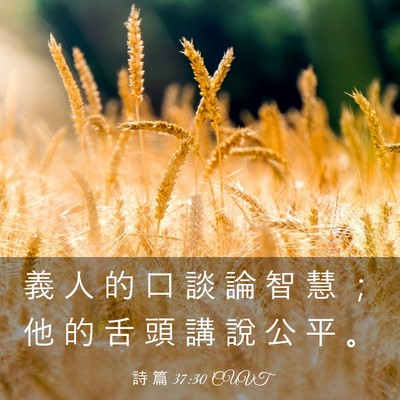 Picture 03 - 詩 篇 37:30 CUVT - 義 人 的 口 談 論 智 慧 ； 他 的 舌 - Bible Verse Picture