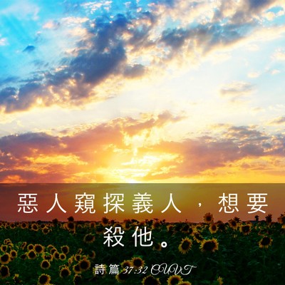 Picture 03 - 詩 篇 37:32 CUVT - 惡 人 窺 探 義 人 ， 想 要 殺 他 - Bible Verse Picture