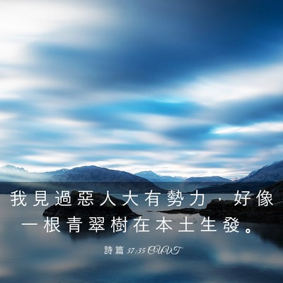 Picture 03 - 詩 篇 37:35 CUVT - 我 見 過 惡 人 大 有 勢 力 ， 好 像 - Bible Verse Picture
