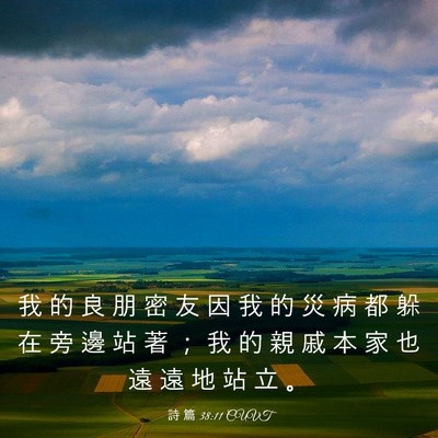 Picture 03 - 詩 篇 38:11 CUVT - 我 的 良 朋 密 友 因 我 的 災 病 都 - Bible Verse Picture
