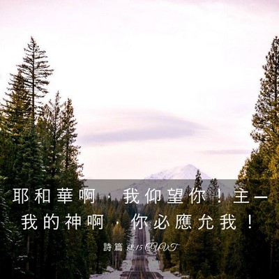 Picture 03 - 詩 篇 38:15 CUVT - 耶 和 華 啊 ， 我 仰 望 你 ！ 主 ─ - Bible Verse Picture