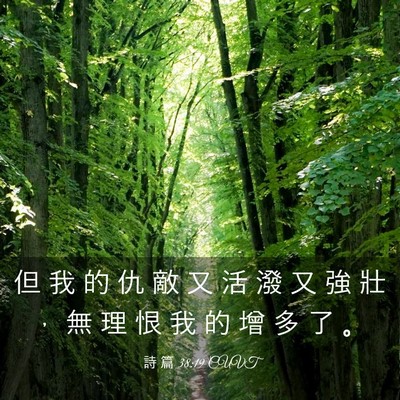 Picture 03 - 詩 篇 38:19 CUVT - 但 我 的 仇 敵 又 活 潑 又 強 壯 ， - Bible Verse Picture