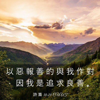 Picture 03 - 詩 篇 38:20 CUVT - 以 惡 報 善 的 與 我 作 對 ， 因 我 - Bible Verse Picture