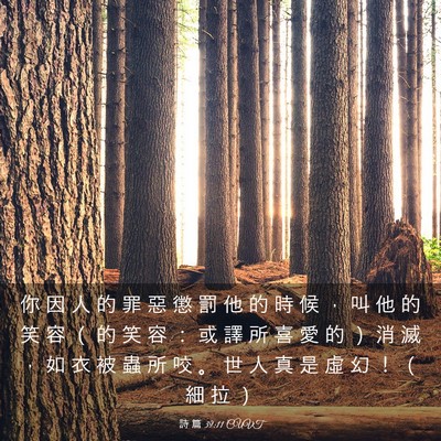 Picture 03 - 詩 篇 39:11 CUVT - 你 因 人 的 罪 惡 懲 罰 他 的 時 候 - Bible Verse Picture