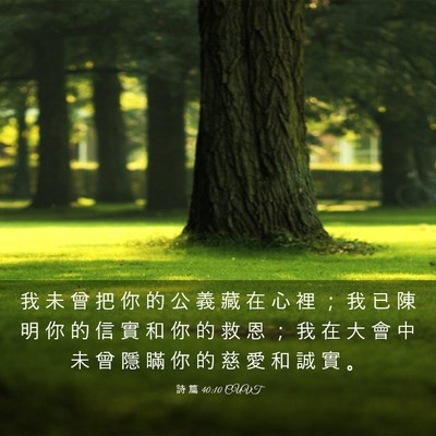 Picture 03 - 詩 篇 40:10 CUVT - 我 未 曾 把 你 的 公 義 藏 在 心 裡 - Bible Verse Picture