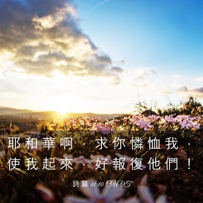 Picture 03 - 詩 篇 41:10 CUVT - 耶 和 華 啊 ， 求 你 憐 恤 我 ， 使 - Bible Verse Picture