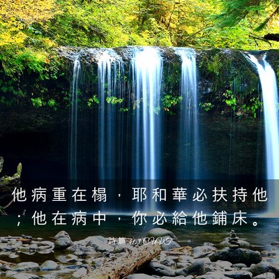 Picture 03 - 詩 篇 41:3 CUVT - 他 病 重 在 榻 ， 耶 和 華 必 扶 持 - Bible Verse Picture
