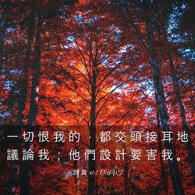 Picture 03 - 詩 篇 41:7 CUVT - 一 切 恨 我 的 ， 都 交 頭 接 耳 地 - Bible Verse Picture