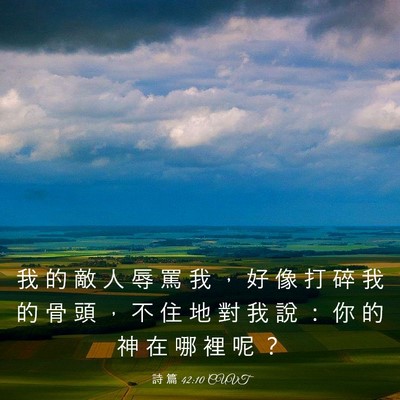 Picture 03 - 詩 篇 42:10 CUVT - 我 的 敵 人 辱 罵 我 ， 好 像 打 碎 - Bible Verse Picture