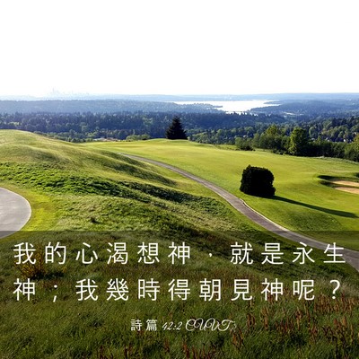 Picture 03 - 詩 篇 42:2 CUVT - 我 的 心 渴 想 神 ， 就 是 永 生 神 - Bible Verse Picture