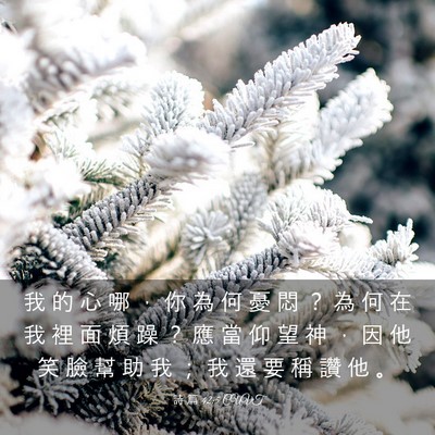 Picture 03 - 詩 篇 42:5 CUVT - 我 的 心 哪 ， 你 為 何 憂 悶 ？ 為 - Bible Verse Picture