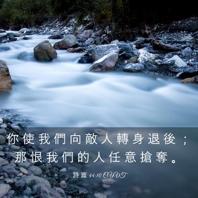 Picture 03 - 詩 篇 44:10 CUVT - 你 使 我 們 向 敵 人 轉 身 退 後 ； - Bible Verse Picture